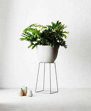 Load image into Gallery viewer, Foundation